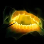 Clínicas Ortodoncistas en hermosillo